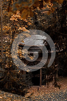 Vertical shot of the ancient alcove in the forest surrounded by trees