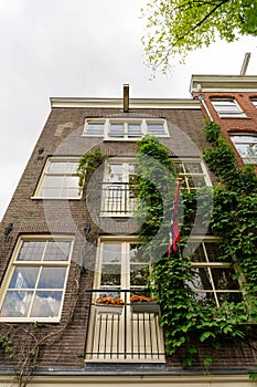 Vertical shot of an apartment facade in Jordaan, Amsterdam
