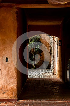 Vertical shot of an archway in a building overlooking a trash bin and a tree in Altos de Chavon