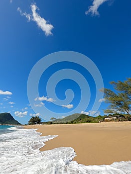 Vertical shot of Armacao beach with foamy waves on a sunny day, Florianopolis, Brazil