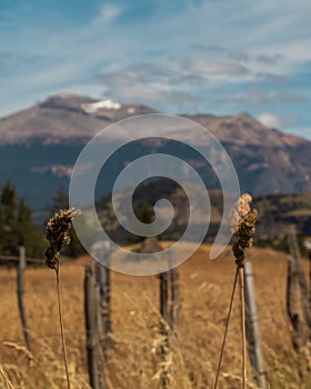 Vertical shot of autumn farmland with dry grasses, trees on the background of the mountains