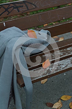 Vertical shot of autumn leaves with a coat on a wooden bench in a park