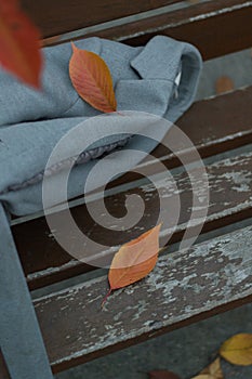 Vertical shot of autumn leaves with a coat on a wooden bench in a park