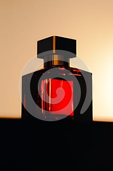 Vertical shot of a backlighted perfume bottle