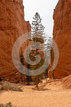Vertical shot of badlands at the Bryce Canyon National Park in Utah, the US