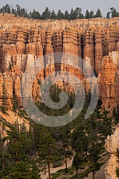 Vertical shot of badlands surrounded by greenery at the Bryce Canyon National Park in Utah, the US