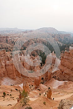 Vertical shot of badlands surrounded by greenery at the Bryce Canyon National Park in Utah, the US