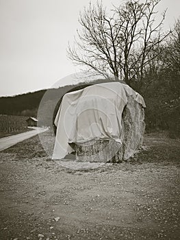 Vertical shot of bale of hays surrounded by trees