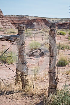 Vertical Shot of Barbed Wire Fence