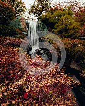 Vertical shot of a beautiful autumn landscape in St. Louis botanical gardens