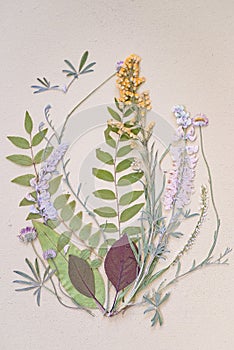 Vertical shot of a beautiful composition of flowers and leaves on white background