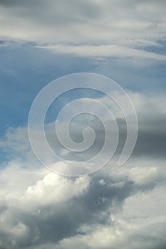 Vertical shot of the beautiful grayish-white clouds in the sky.