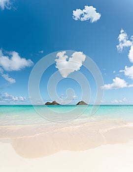 Vertical shot of a beautiful Lanikai Beach, Kailua in Hawaii, USA