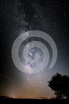 Vertical shot of a beautiful night sky full of stars