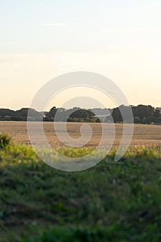 Vertical shot of the beautiful summer countryside landscape. Burnham, North Lincolnshire, England. photo