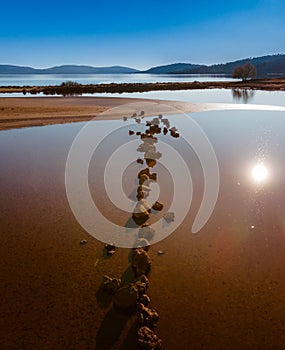 Vertical shot of the beautiful sunny wetlands in Kalloni,Lesvos,Greece photo
