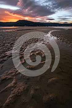 Vertical shot of the beautiful sunrise at Ettalong Beach. New South Wales, Australia.