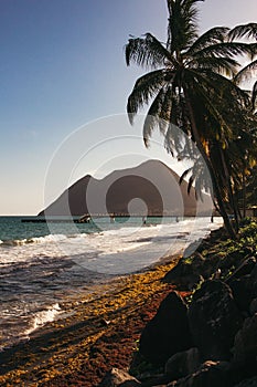 Vertical shot of a beautiful tropical coastline at sunset