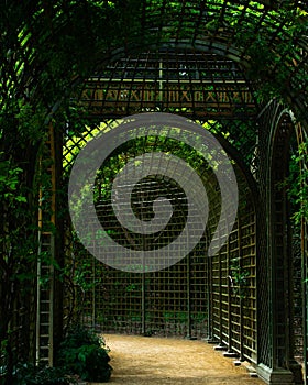 Vertical shot of the beautiful tunnel in the gardens of the Palace of Versailles