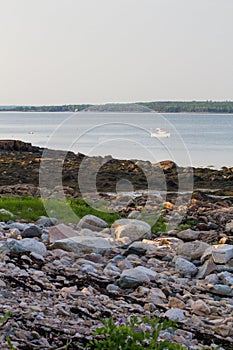 Vertical shot of the beautiful view of Gouldsboro Bay in Maine