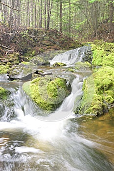 Vertical shot of a beautiful water cascade and mossy stones in Cumberland County, Canada