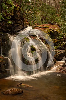 Vertical shot of a beautiful waterfall flowing down the rocks in a forest in Virginia