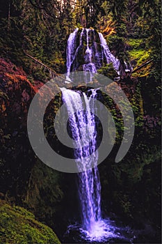 Vertical shot of a beautiful waterfall in a forest with trees and rocks covered in moss