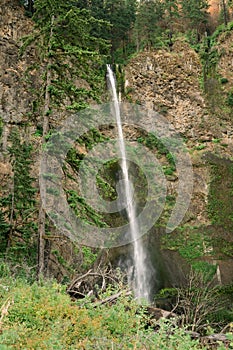 Vertical shot of the Benson Bridge over Multnomah Falls during the day