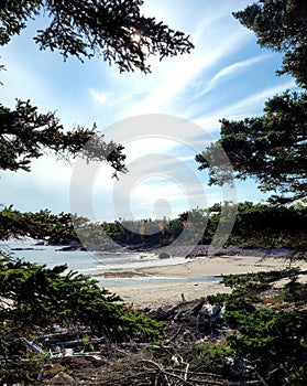 Vertical shot of Black Brook Cove Beach along the Cabot Trail. Cape Breton, Nova Scotia, Canada.