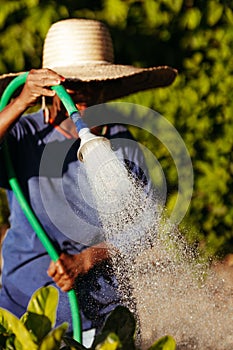 Vertical shot of a black woman wearing a hat and rain boots watering a garden