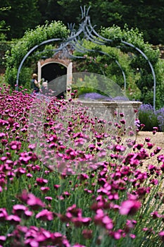 Vertical shot of blooming pink flowers in Queen Victoria's Osborne House in the Isle of Wight