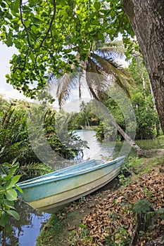 Vertical shot of a blue skiff next to a lake surrounded by green nature during daylight