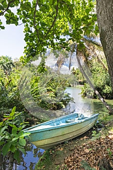 Vertical shot of a blue skiff next to a lake surrounded by green nature during daylight