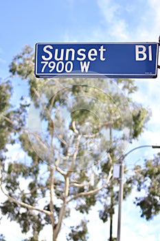Vertical shot of the blue Sunset Boulevard street sign photo
