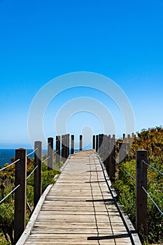 Vertical shot of a boardwalk surrounded by green vegetation. Point Dume, Malibu, California, USA.