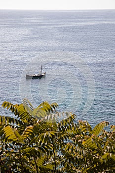 Vertical shot of a boat sailing in the sea in Calella de Palafrugell photo