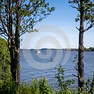 Vertical shot of the boats and ships on the water seen through the trees