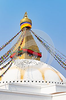 Vertical shot of the Boudhanath Stupa Temple Tower in Kathmandu, Nepal