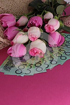 Vertical shot of a bouquet of pink roses with cash on a pink background with space for text