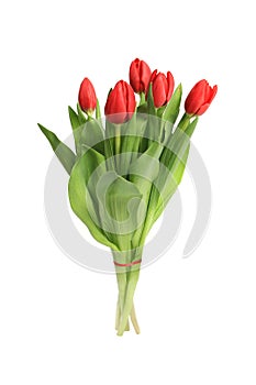 Vertical shot of a bouquet of red tulips isolated on a white background