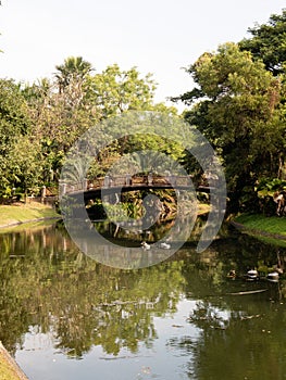 Vertical shot of a bridge over a calm pond in a park