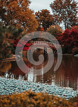 Vertical shot of a bridge at St. Louis botanical gardens with autumn trees