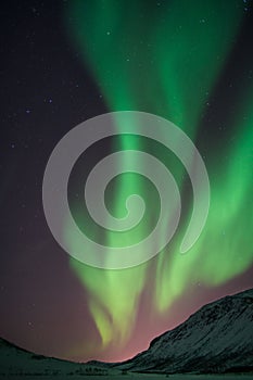 Vertical shot of bright green aurora northern lights over mountains in Norway