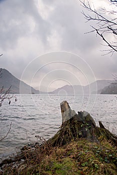 Vertical shot of a broken tree log on the coast of a lake under the cloudy sky in a gloomy day