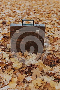 Vertical shot of a brown bag isolated on autumn maple leaves in the park