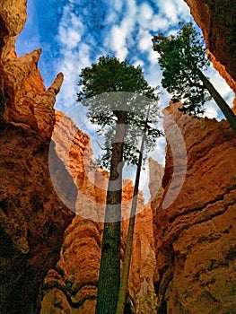 Vertical shot of Bryce Canyon National Park, Tropic, USA