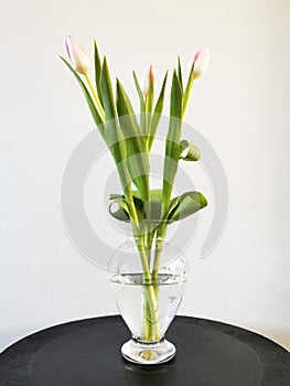 Vertical shot of a bunch of tulips in a transparent jar on a white background