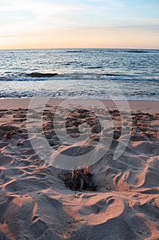 Vertical shot of a campfire on a sandy beach under dusk sky in Hawaii