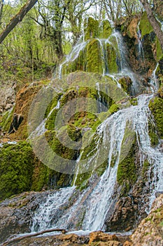 Vertical shot of the cascade water falling coming down the mossy rocks in the forest