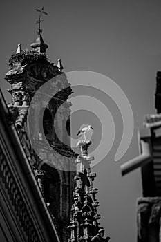 Vertical shot of the cathedral in Casco Antiguo, Spain